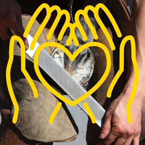 look after your farrier